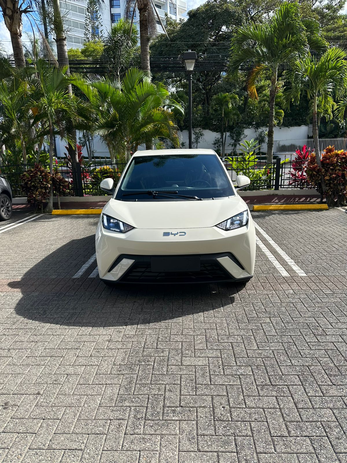 BYD Seagull thumbnail 2